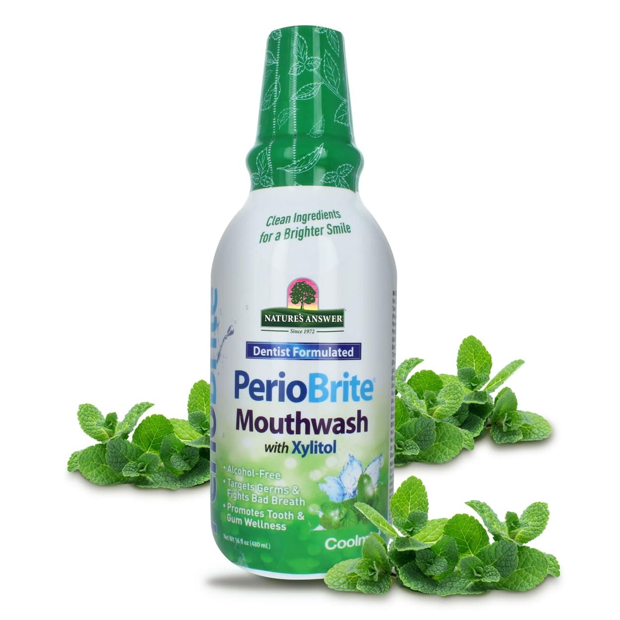 Nature's Answer Periobrite Alcohol-Free Mouthwash, Cool Mint, 16 Ounce, 2 Count
