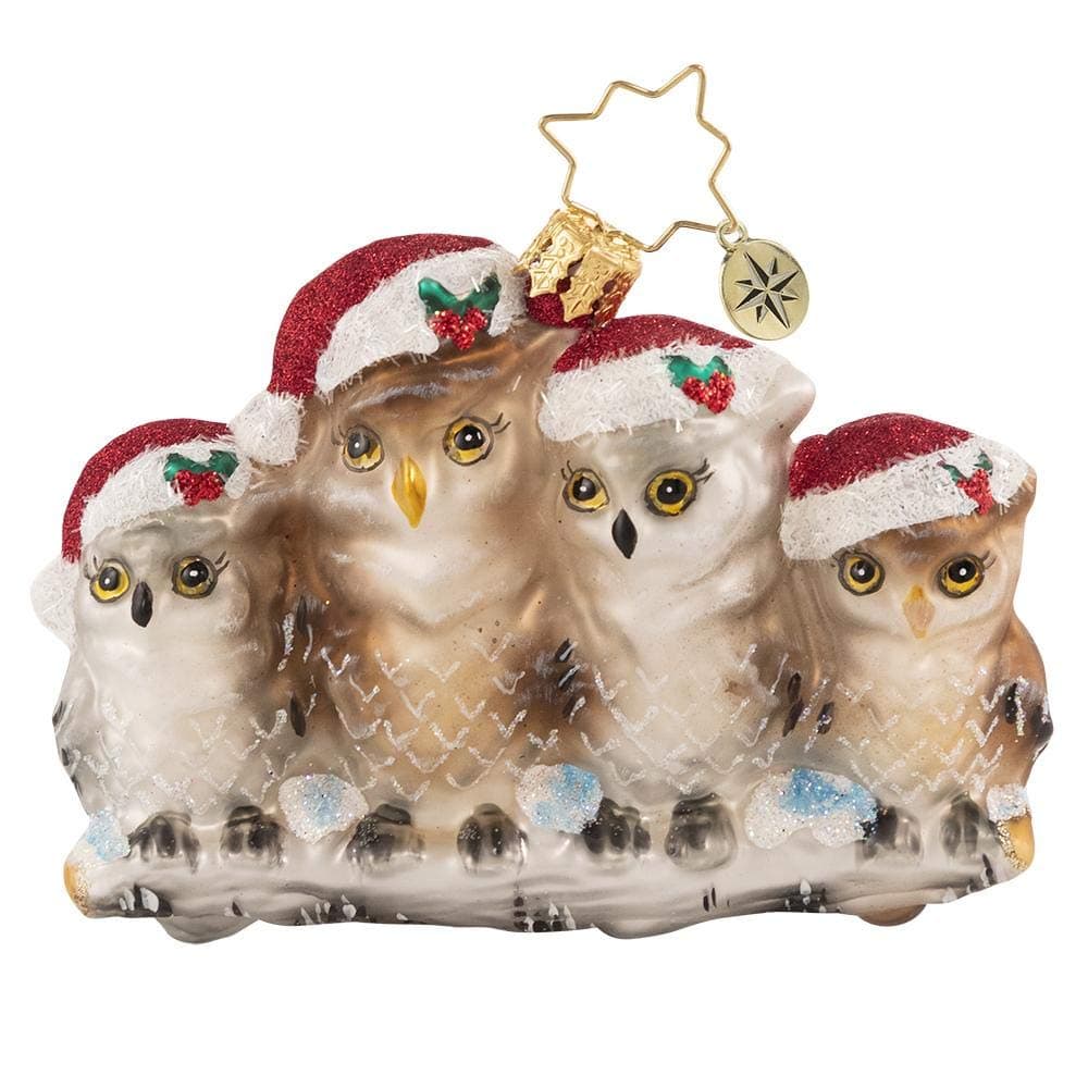 Christopher RadkoHand-Crafted European Glass Christmas Decorative Ornament, It's Owl in The Family Gem