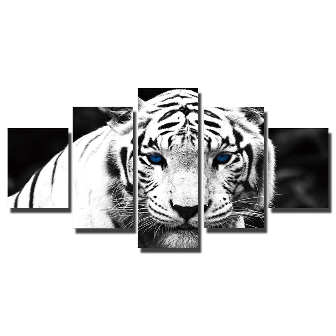 5 Pcs/Set HD Canvas Print Home Decor Wall Art Oil Paintings on Canvas Beautiful Picture 5p(No Framed) White Tiger