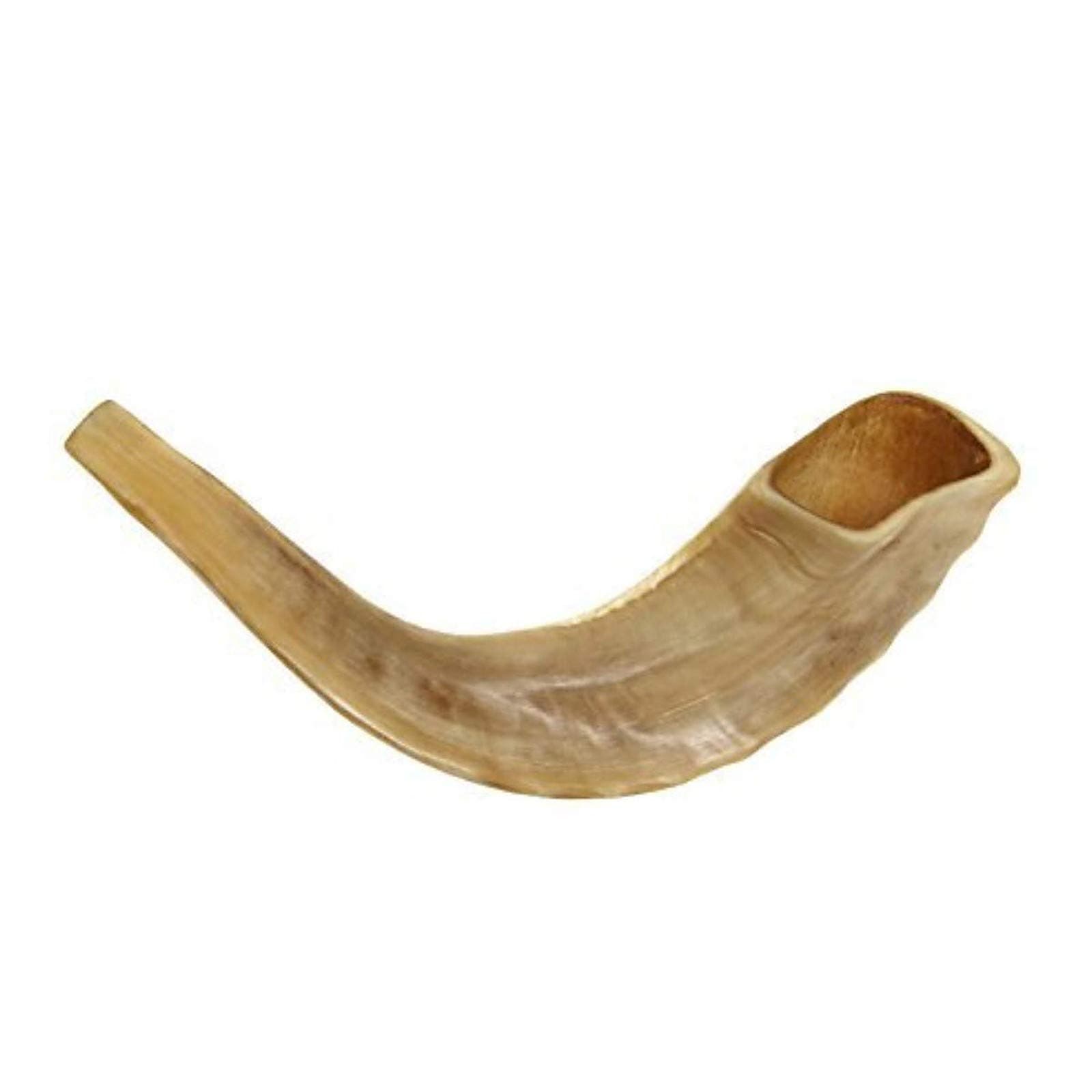 KOSHER ODORLESS POLISHED SHOFAR | Genuine Natural Rams Horn | Smooth Mouthpiece for Easy Blowing | Includes Velvet like Drawstring Bag and Shofar Blowing Guide (10”-12”)