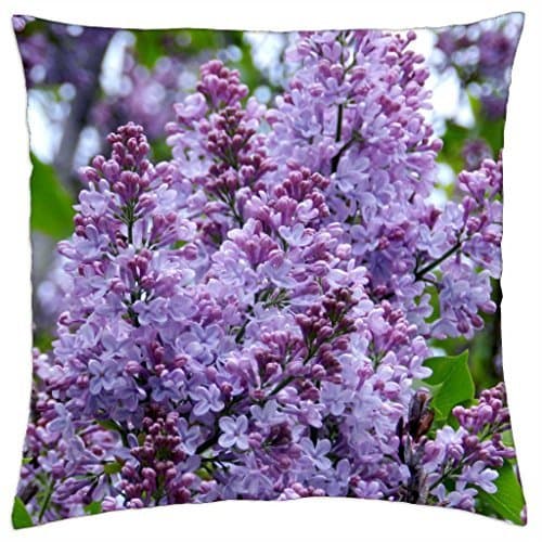 Amory Fresh Lavender Chamomile Crystal Beads Air Freshener, 8oz