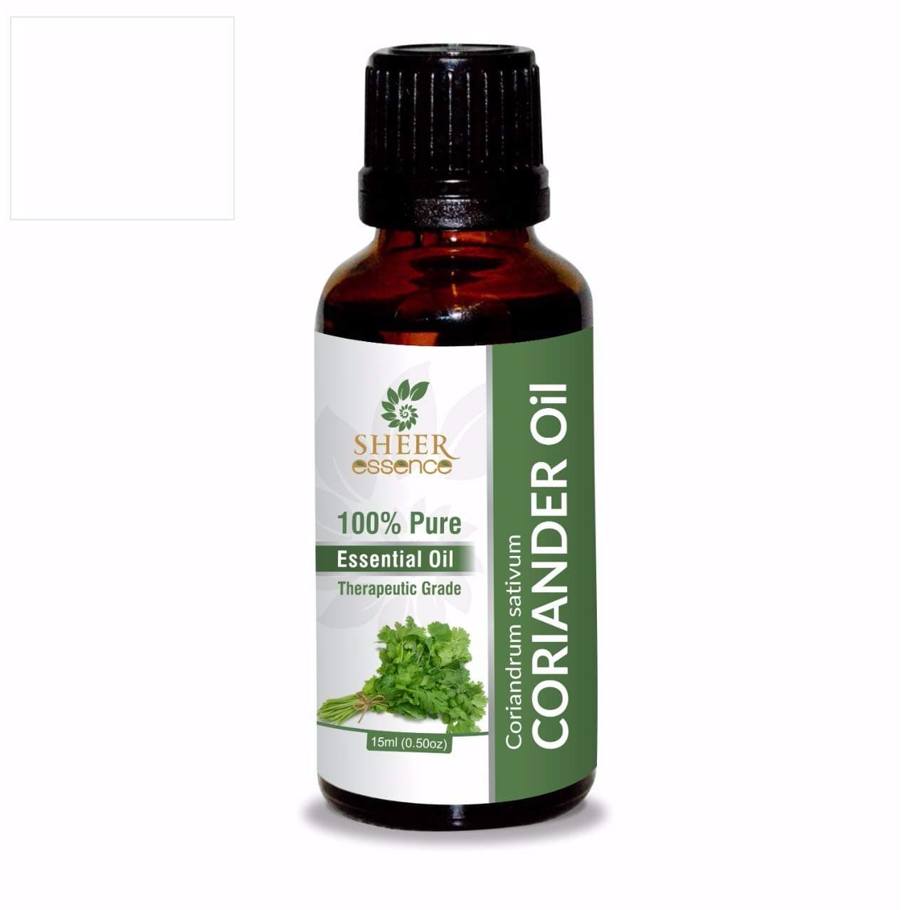 Coriander Oil -(Coriandrum Sativum)- Essential Oil 100% Pure Natural Undiluted Uncut Therapeutic Grade Oil 0.51 Fl.OZ