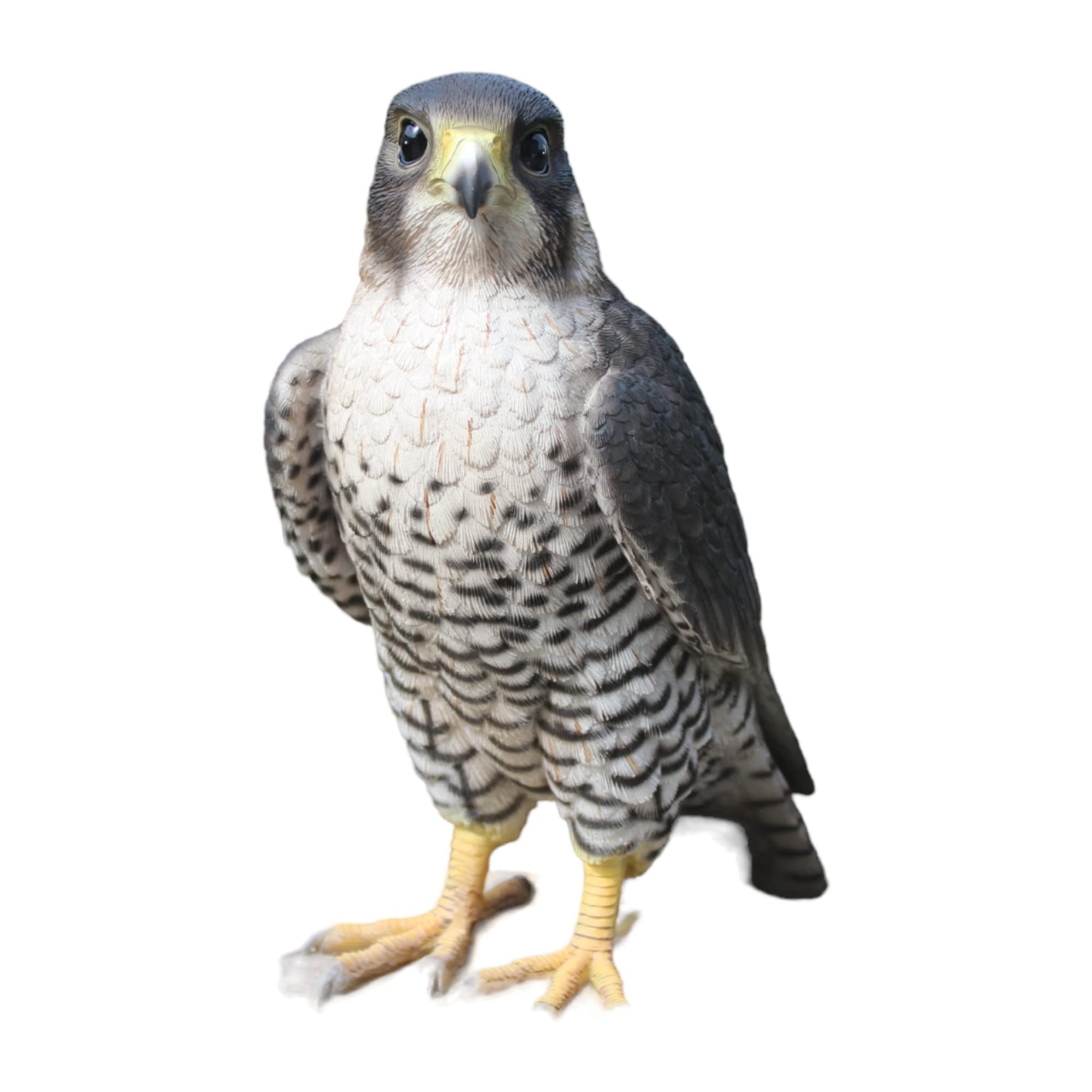 XRL-PFAL-B Peregrine Falcon Resin Ornament