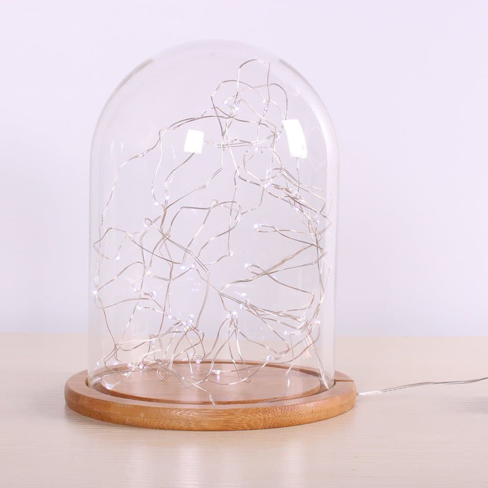 Dulinlan Glass Cloche Bell Jar Display Dome Bamboo Base Fairy String LED White Lighs Dia 15 cm Height 18 cm