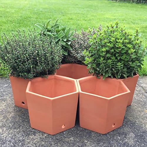Weston Mill Pottery Terracotta hexagonal herb pots - set of 7