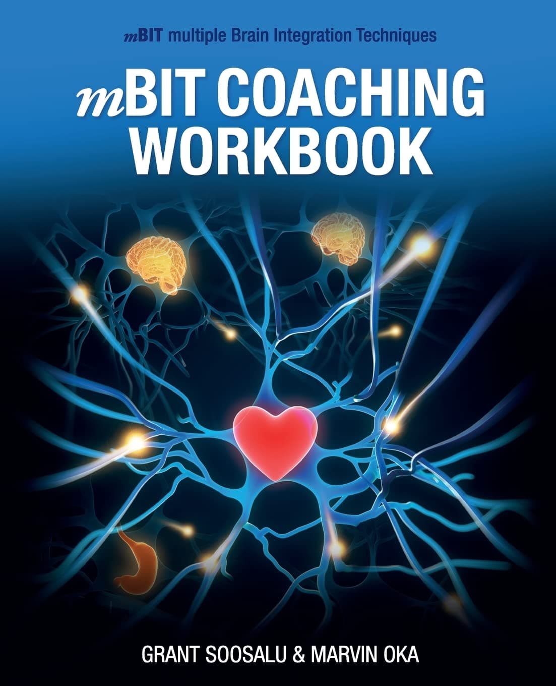 mBIT Coaching Workbook