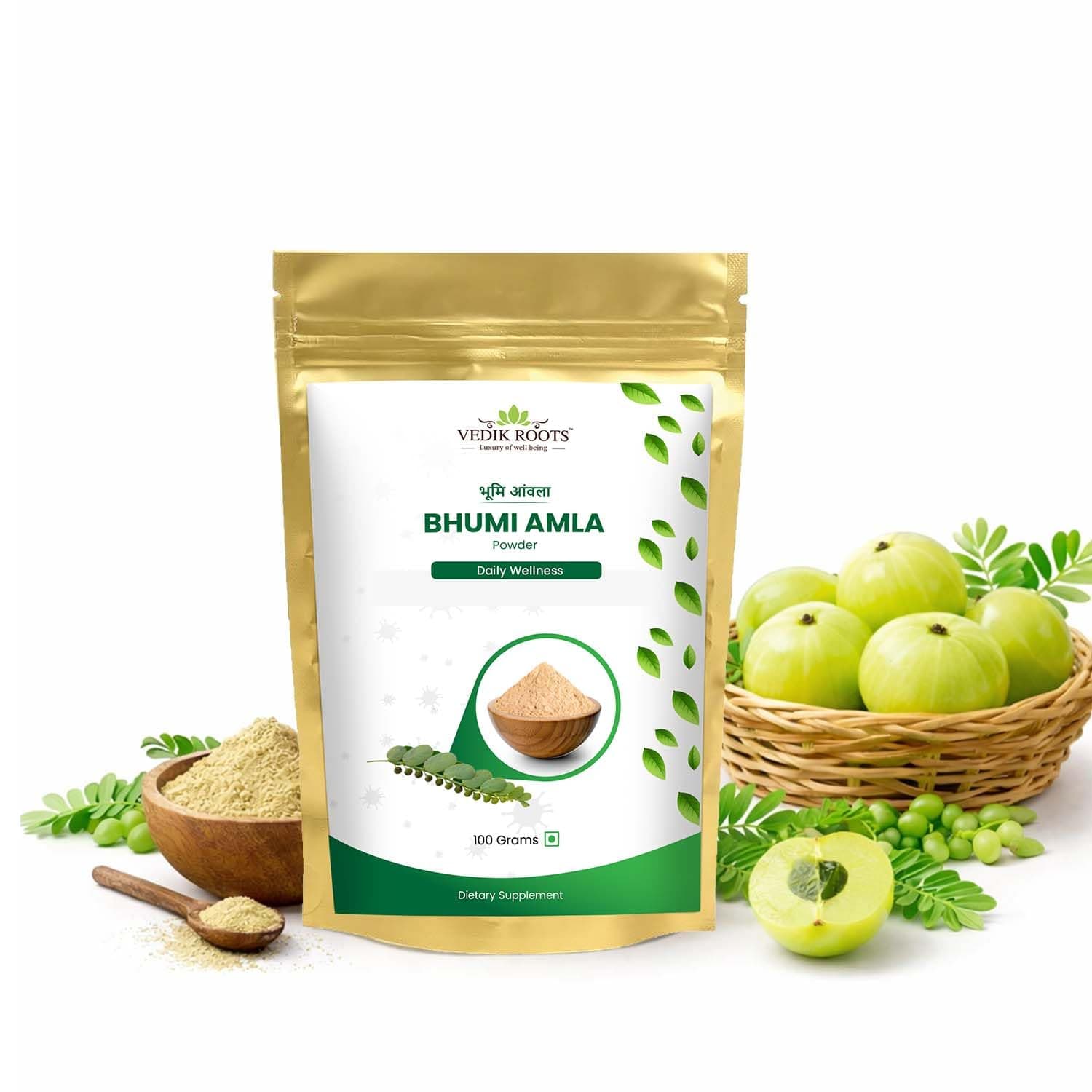 Organic Bhumi Amla Powder - Rich in Antioxidant Vitamin C - Supports Healthy Immune Function 100Gm (Pack of 1)