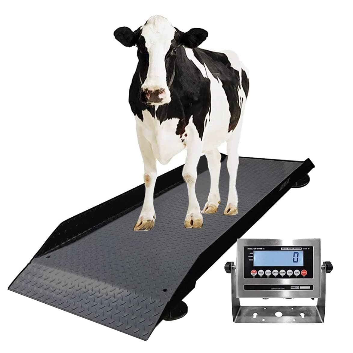 PEC Scales Large Farm Animal Scale/Digital Livestock Weighing Equipment, Capacity 5000 x 1 lb for Cattle, Horse, Goat, Cow, Alpaca, etc. (Upgrade Indicator & Long ramp)