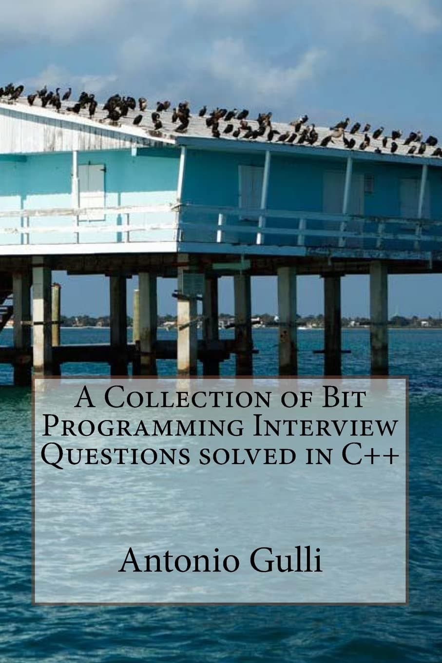 A Collection of Bit Programming Interview Questions solved in C++ Paperback – May 22, 2014