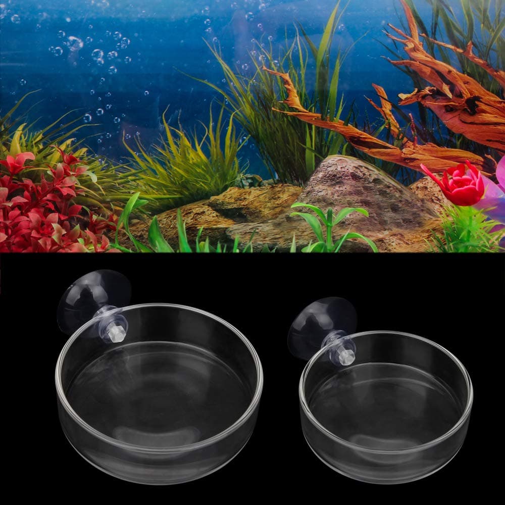 Senzeal 2PCS Shrimp Feeding Dish Glass Aquarium Fish Tank Reptiles Round Feeder Bowl with Suction Cup