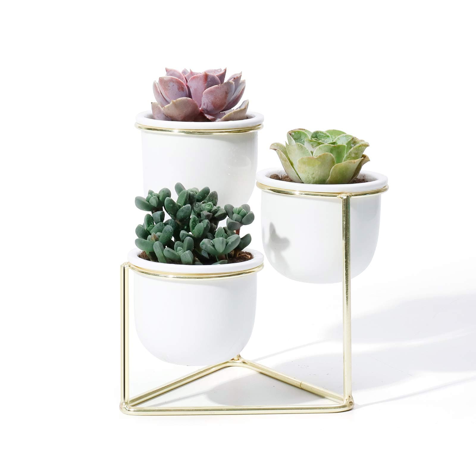 3 Piece Ceramic Succulent Planter Pots - 3 Inch Modern Century Indoor Cactus Container with Golden Metallic Stand - Suspended Base Legs and Watering Drain Holes