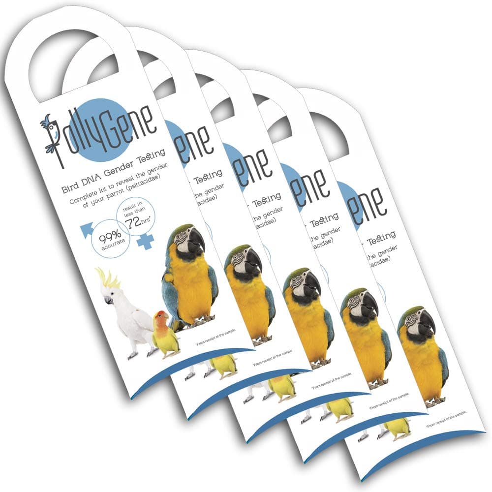 5 Bird DNA Gender Testing Kits for Parrots Lovebirds Cockatoos Macaw Grey African Cockatiels Conure & more. Avian test from Feathers, Blood or Eggshell - Collection Kit & Certificate Included