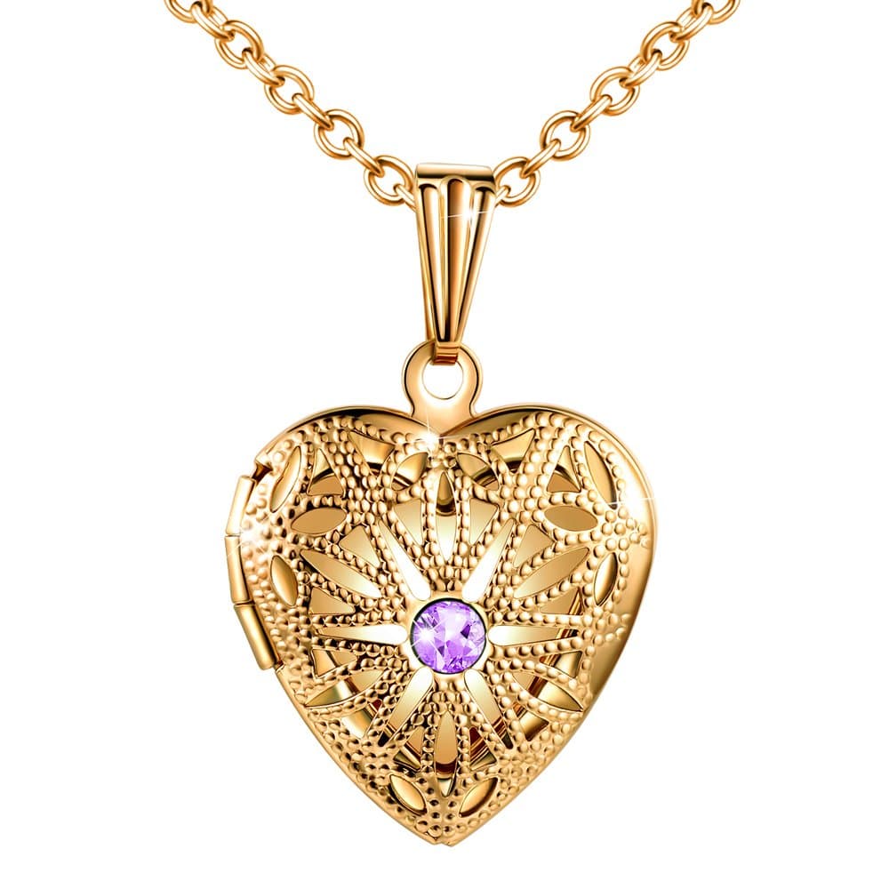 MicLeeMicLee Ladies Necklace Photo Locket Pictures Amulet Purple Cubic Zirconia Heart Pendant Necklace Stainless Steel with Gift Box Greeting Card