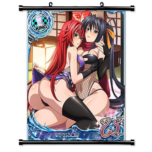 High School DxD Anime Fabric Wall Scroll Poster (16x20) Inches [A] HighSchoolDxDPart2-26