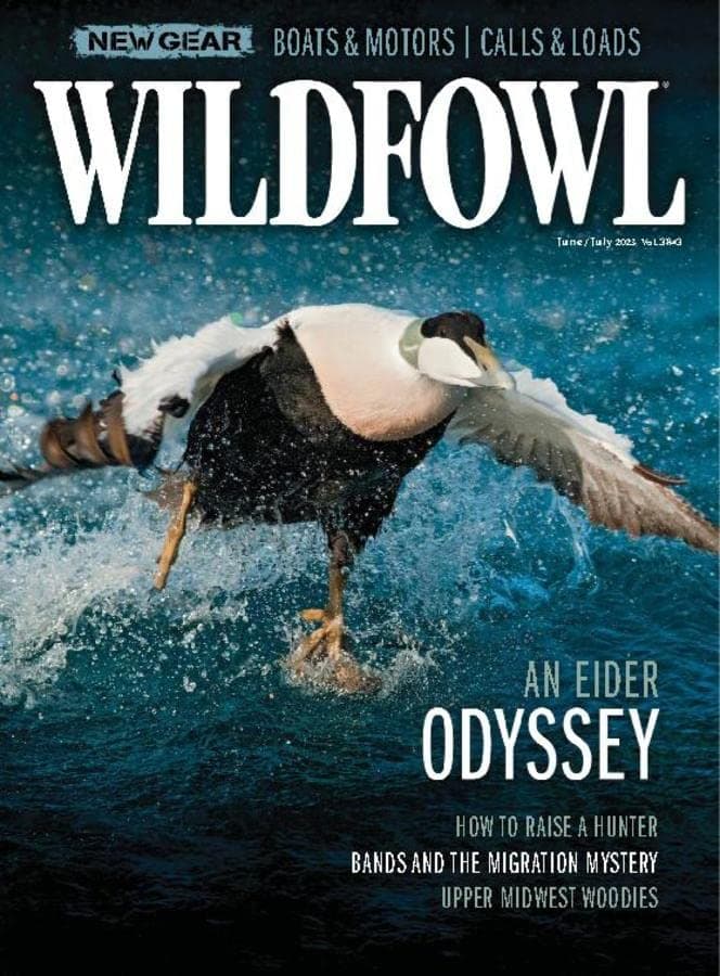 Wildfowl Kindle Edition