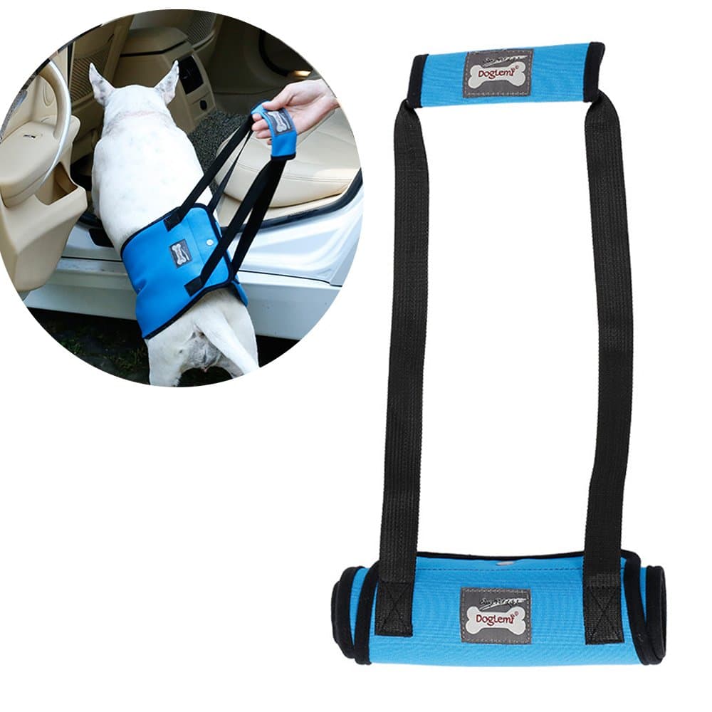 Santune Dog Lifting Harness Portable Lift Sling Support for Medium Dogs Front or Rear Legs Walking Mobility Rehabilitation from Injured Disable (Blue,M)