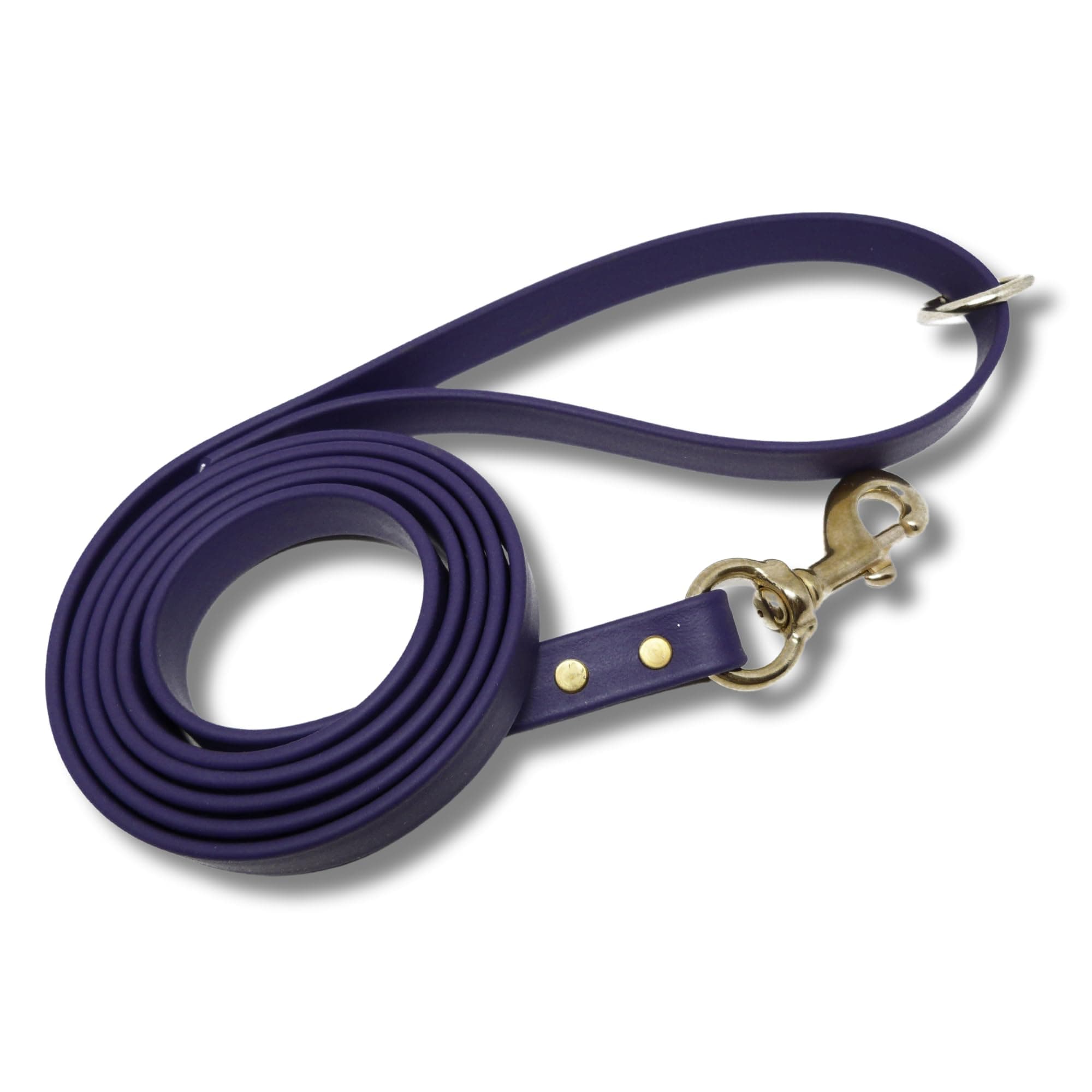 Gummy Dog Leash, Biothane, Dog Training Leash, Made in The USA, 4 Feet, Various Sizes & Colors (1/2, Purple)