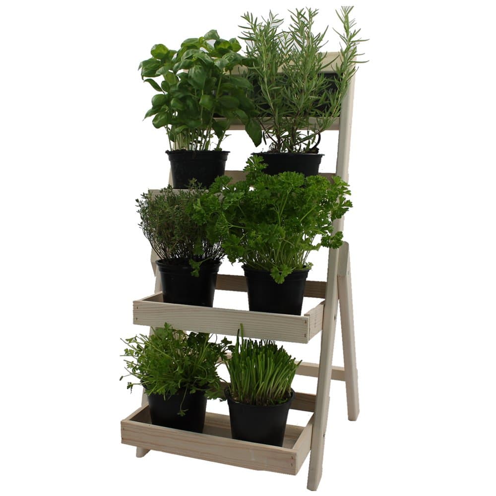 FSC® Wooden Flower Display Rack 66 cm - Plant Ladder Stand Shelves with Chalkboard, Weather Resistant and Durable, Colour:White