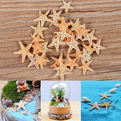 MangGaStore 50Pcs New Ocean Multi Starfish Sea Star Craft Table Decor Aquarium Fish Tank Hot Set 101