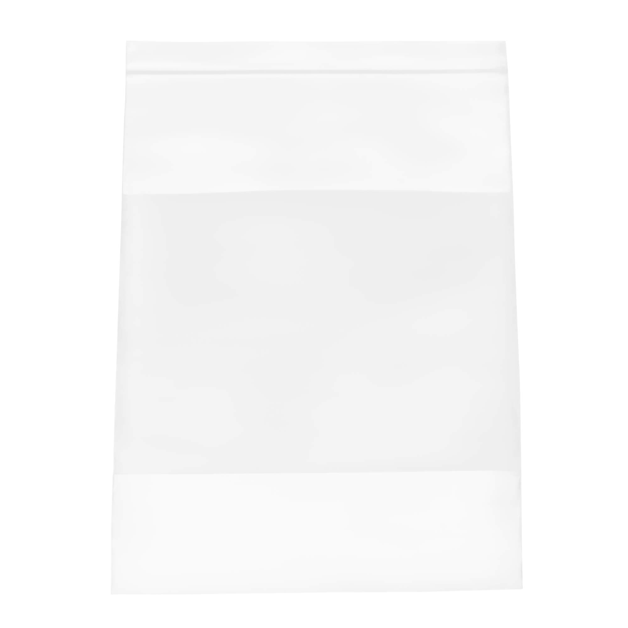 9 x 12, 2 Mil White Block Reclosable Bags, Case of 100