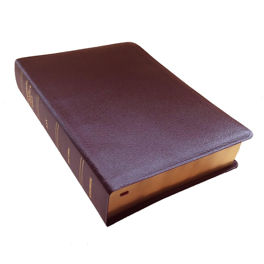 Thompson Chain-Reference Bible Leather Bound – 1 April 2017