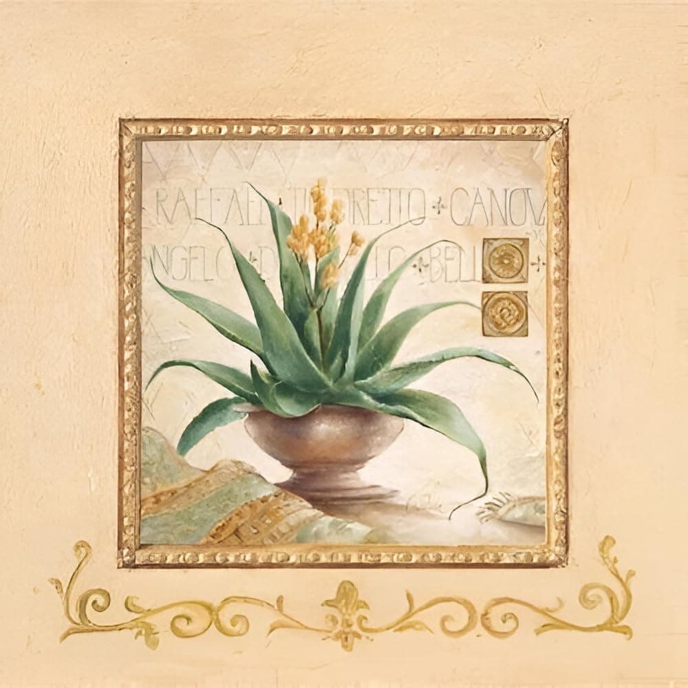 Canova By Claudia Ancilotti Highest Quality Art Print Poster - Size: 11.75 X 11.75