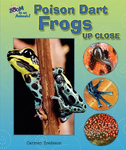 Poison Dart Frogs Up Close (Zoom in on Animals!) Paperback – January 1, 2012