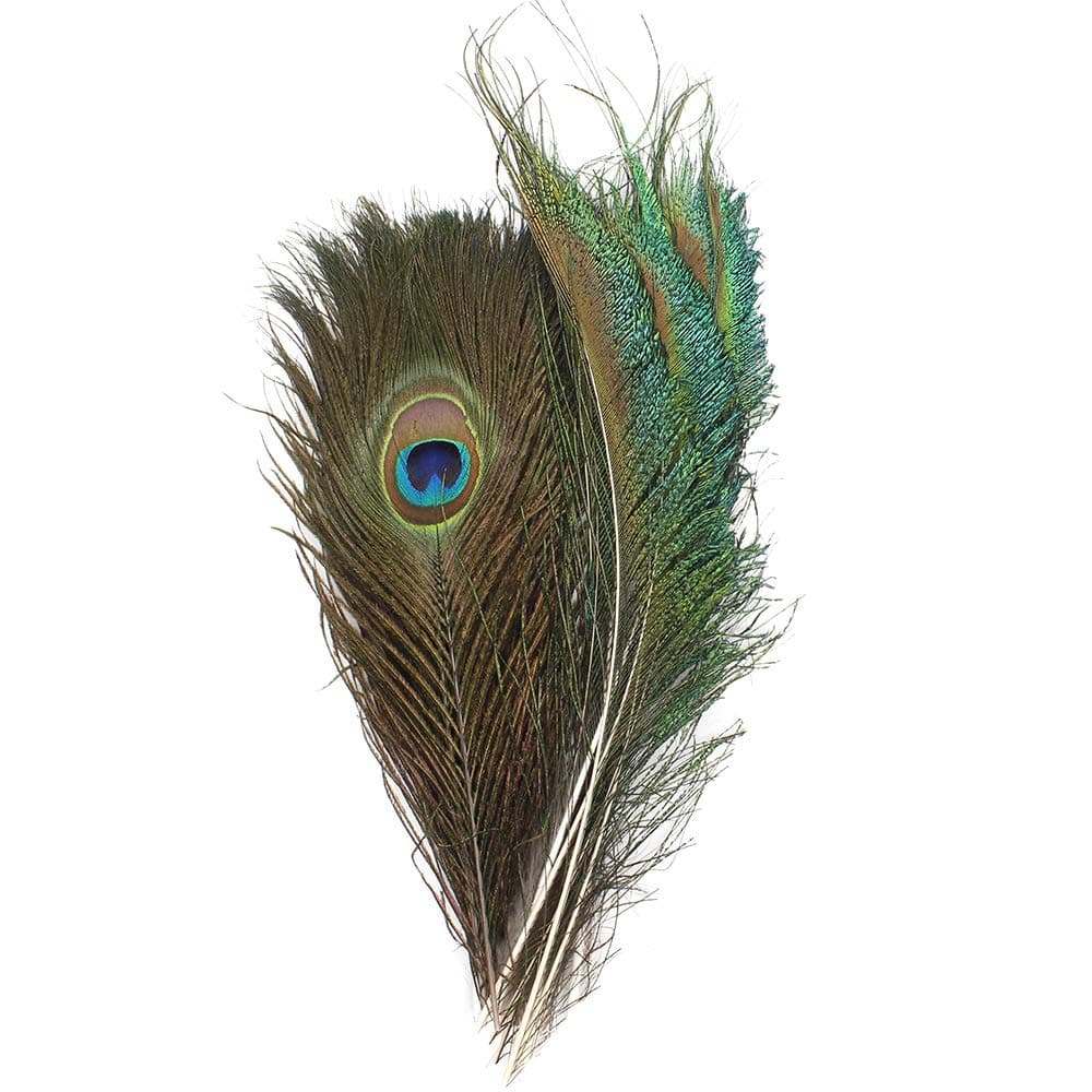 Real Natural Peacock Feathers 10-12 inchs 10pcs and Peacock Sword Feathers 12-15 inchs 10pcs for DIY Craft,Wedding Decoration (20)