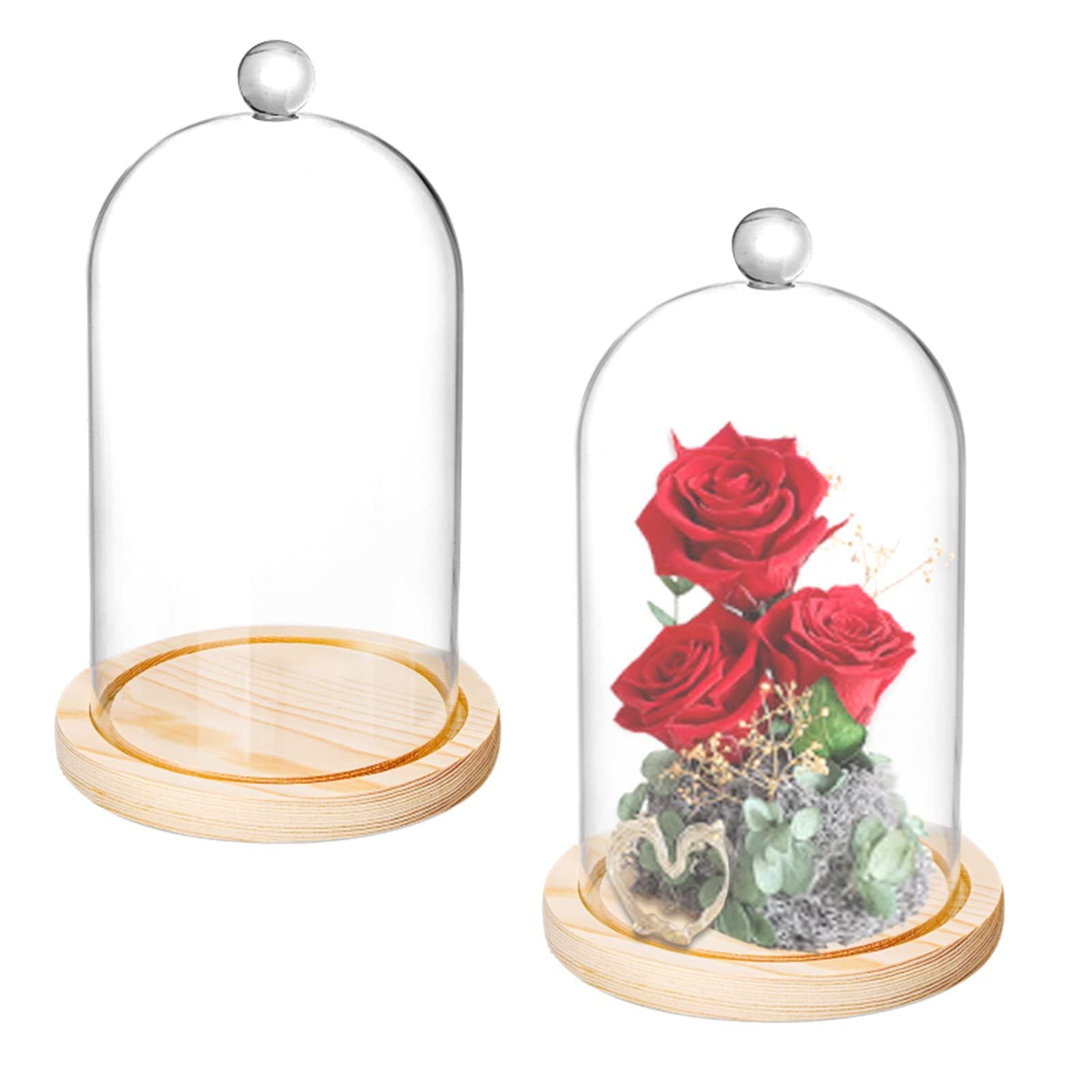 Lyellfe 2 Pack Cloche Glass Dome, 8'' x 5'' Dome Cloche with Rustic Wooden Base, Glass Cloche Bell Jar Display for Plants, Fairy Lights or Table Decor