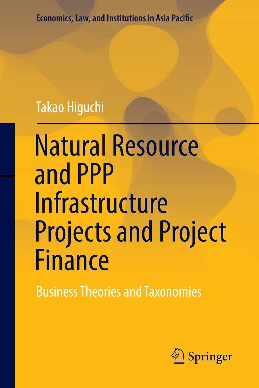 Natural Resource and PPP Infrastructure Projects and Project Finance: Business Theories and Taxonomies (Economics, Law, and Institutions in Asia Pacific)