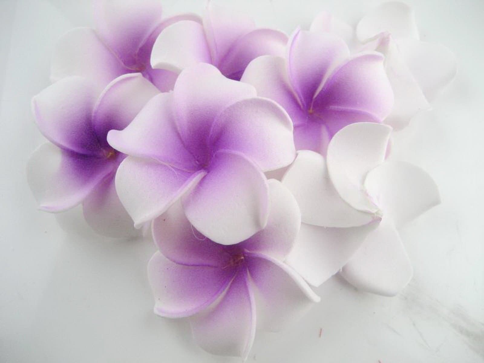 12 Foam Floating Frangipani/plumeria/hawaiian Flower Heads Pool Pond 2 Inch Sf134
