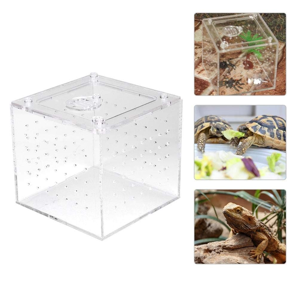 Acrylic Reptile Feeding Box and Breeding Terrarium - Cricket Keeper Insect House for Snakes Lizards Chameleons Frogs Crickets