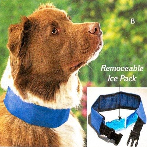 Cool Dog Collar with Removable ICE Pack - Size Small (FITS Neck 11" to 17")