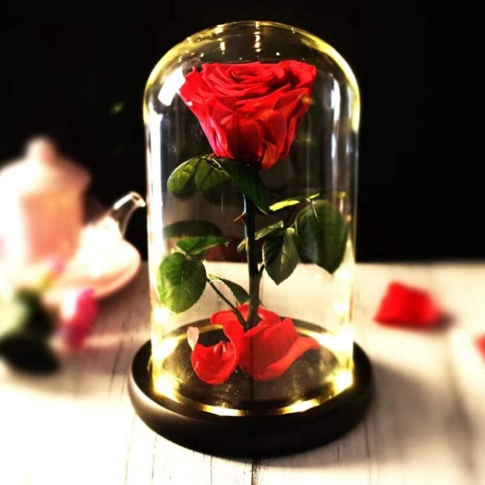 Preserved Real Rose Beauty and The Beast Enchanted Red Rose, Preserved Fresh Rose in Glass Dome Romantic Forever Gift for Her Wedding Valentine's Day Christmas Mothers Day (Preserved Real Rose)