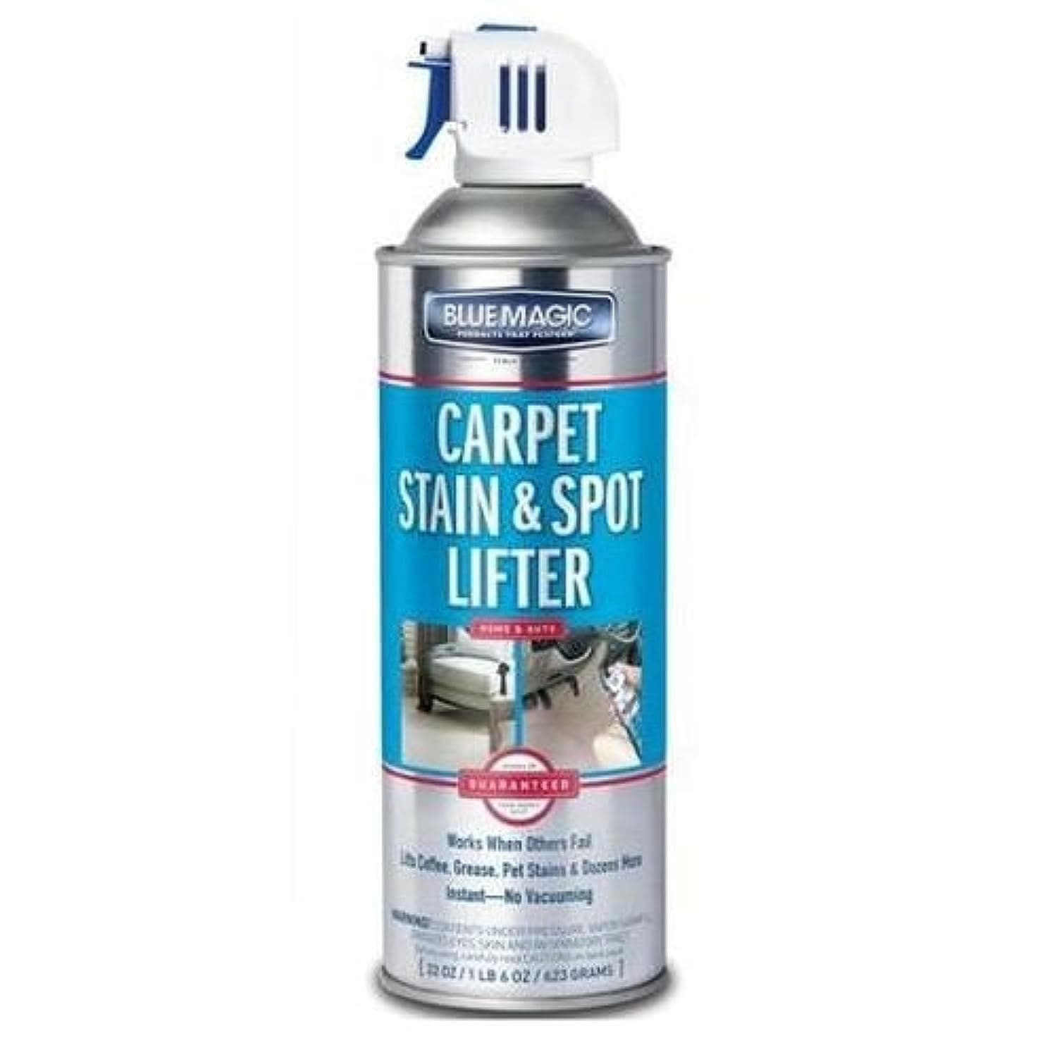 900 Carpet Stain & Spot Lifter - 22 oz. Aerosol Can