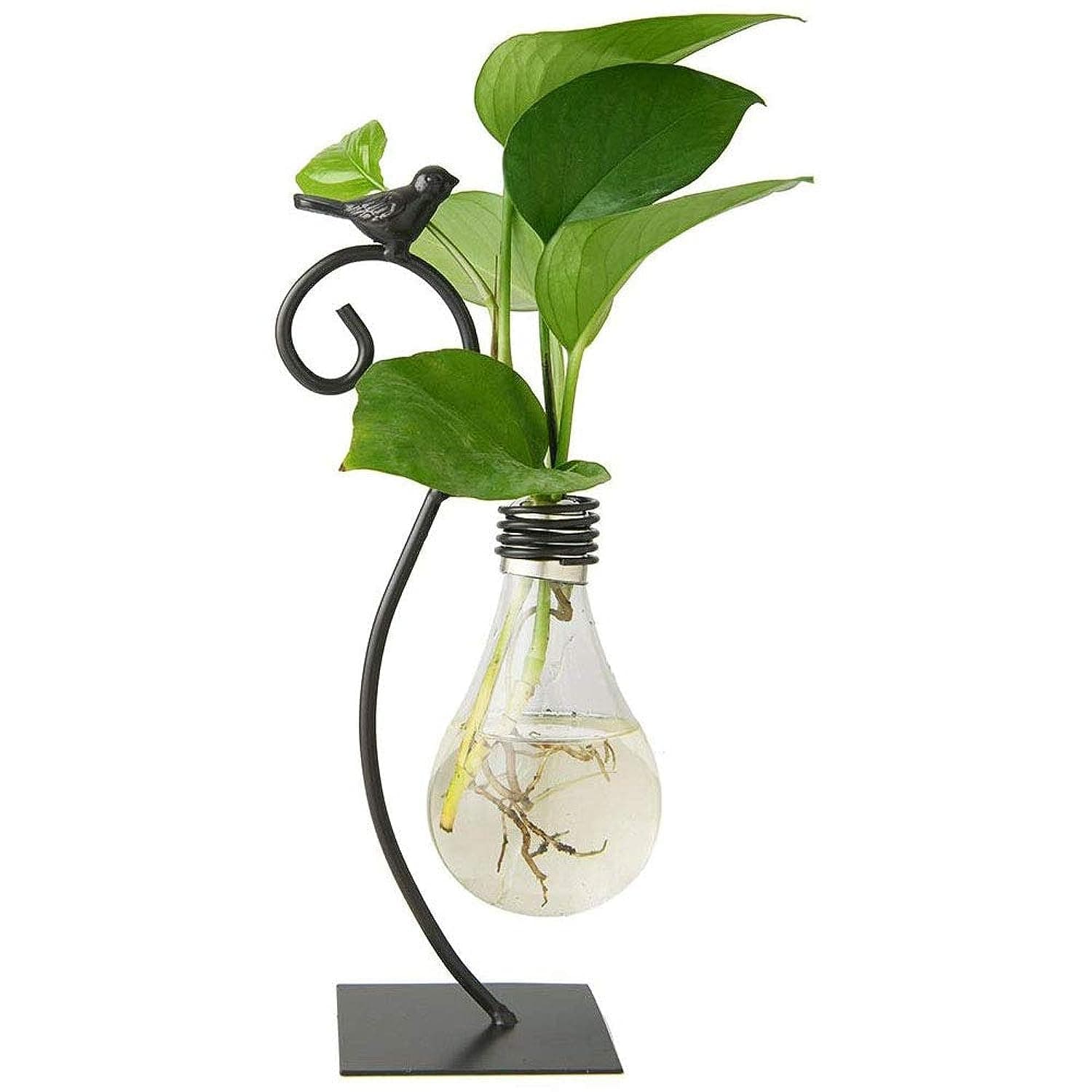 Desktop Glass Planter Hydroponics Vase,Planter Bulb Vase with Holder for Home Decoration,Modern Creative Bird Plant Terrarium Stand, Scindapsus Container