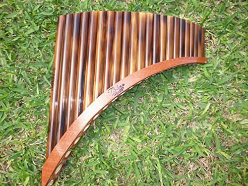 Blas Professional Pan Flute 22 Pipes Burnt Bamboo Case Included Item in USA