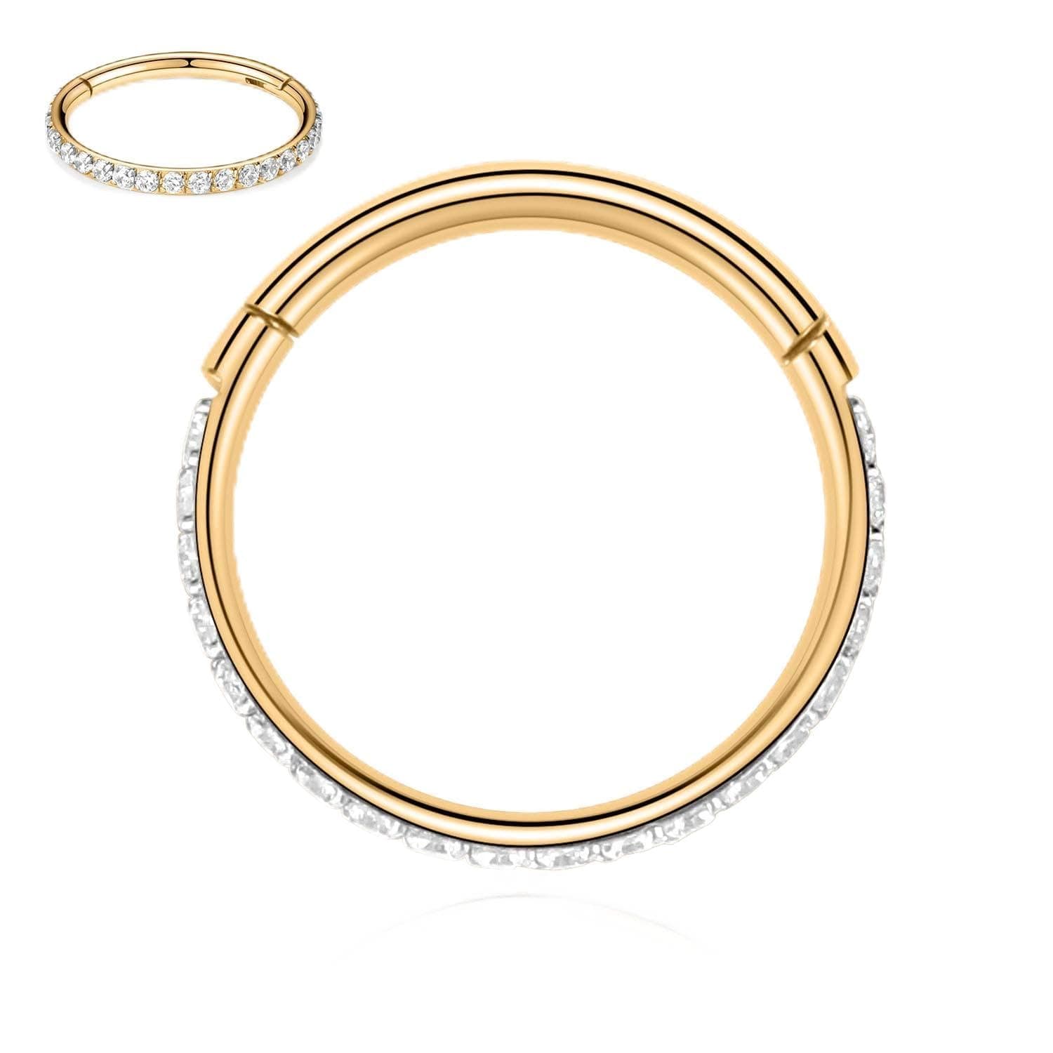 FUNLMO 20G 18G 16G 12G Nose Ring Hoop Conch Rook Daith Helix Tragus Piercing Jewelry 316L Surgical Steel Cartilage Earring Conch Hoop Earring Septum Jewelry Belly Lip Ring 5mm to 14mm