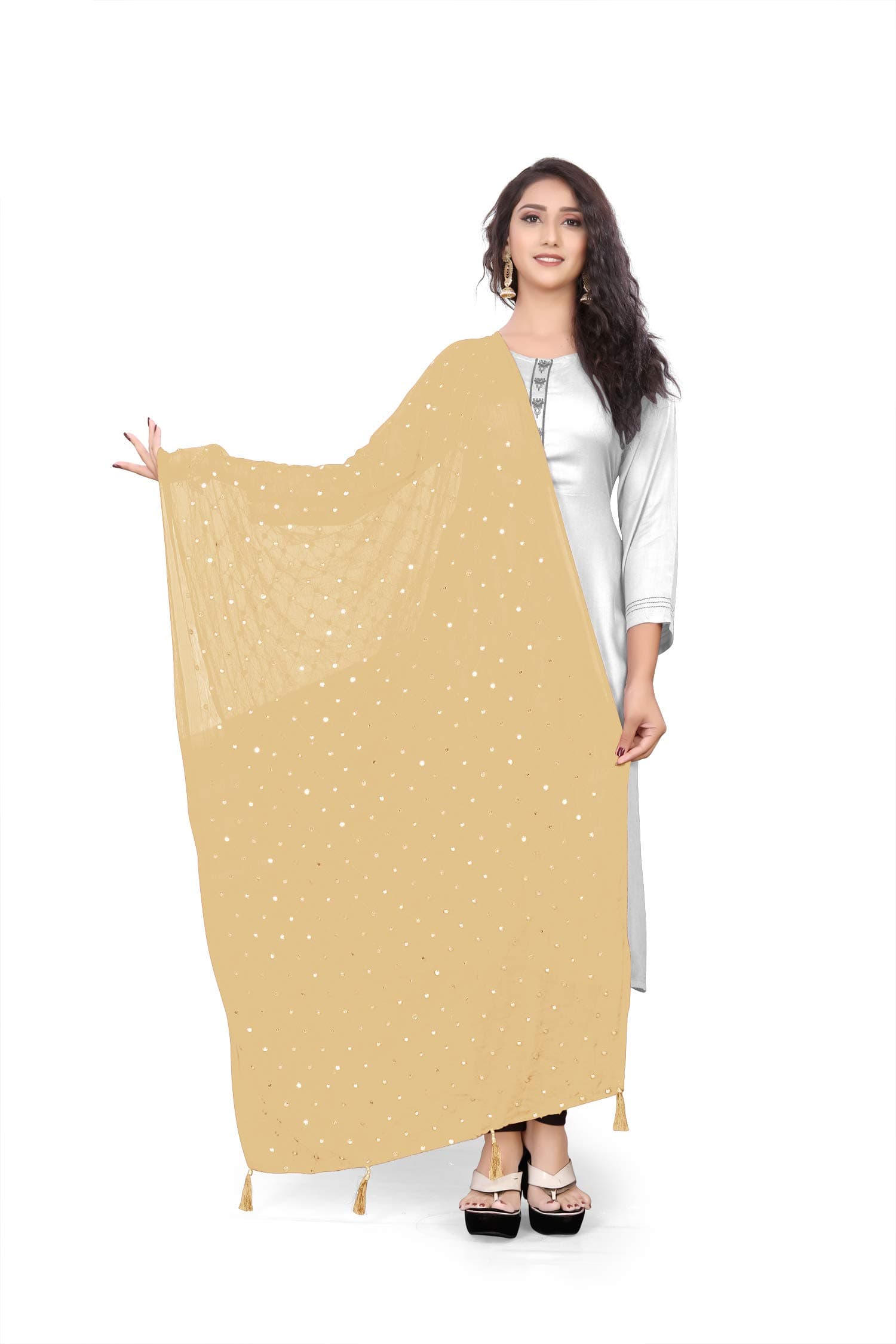 themilestocksTMS Woman's Embroidered Chiffon Dupatta Scarf Shawl Wrap Soft Indian Bridal Wedding