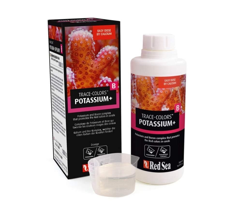 Red Sea Coral Colors B