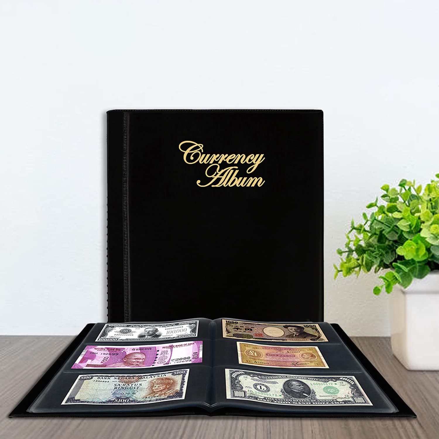 Currency Note Collection Album with Leather Cover (102 Pockets)