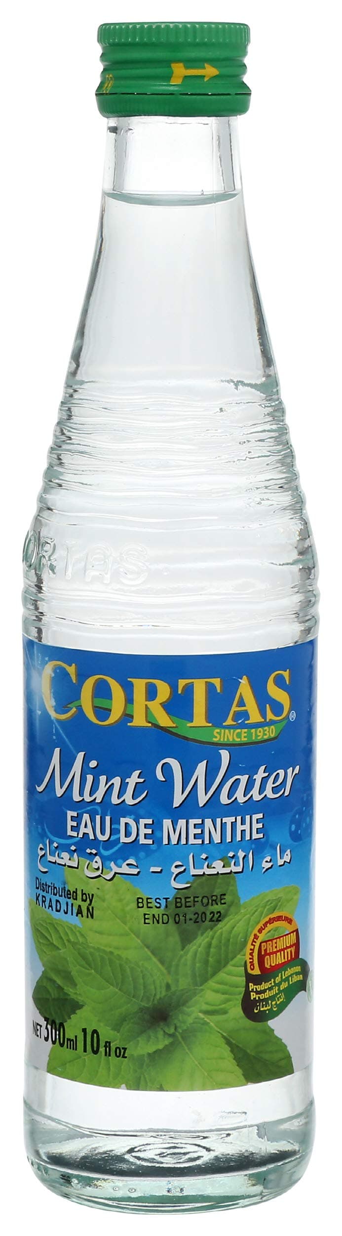 Mint Water Single, 10 Fl Oz