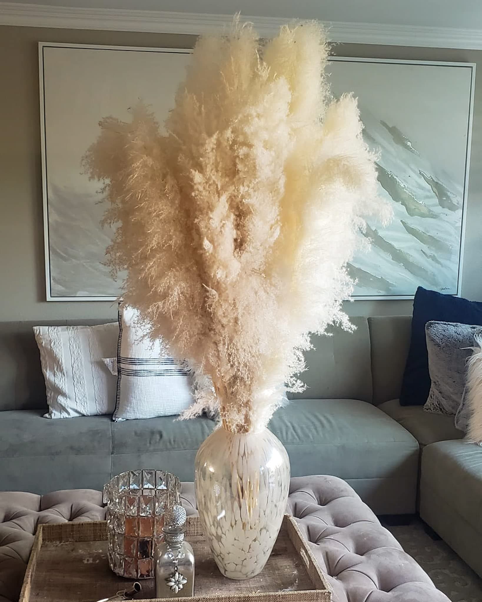 Kleantoolz Sunshine Marigolds Large Pampas Grass Decor Naturally Dried Grass Light Beige for Home, Wedding Decor - Six (6) Tall Stems 4ft Long (48") - Beige