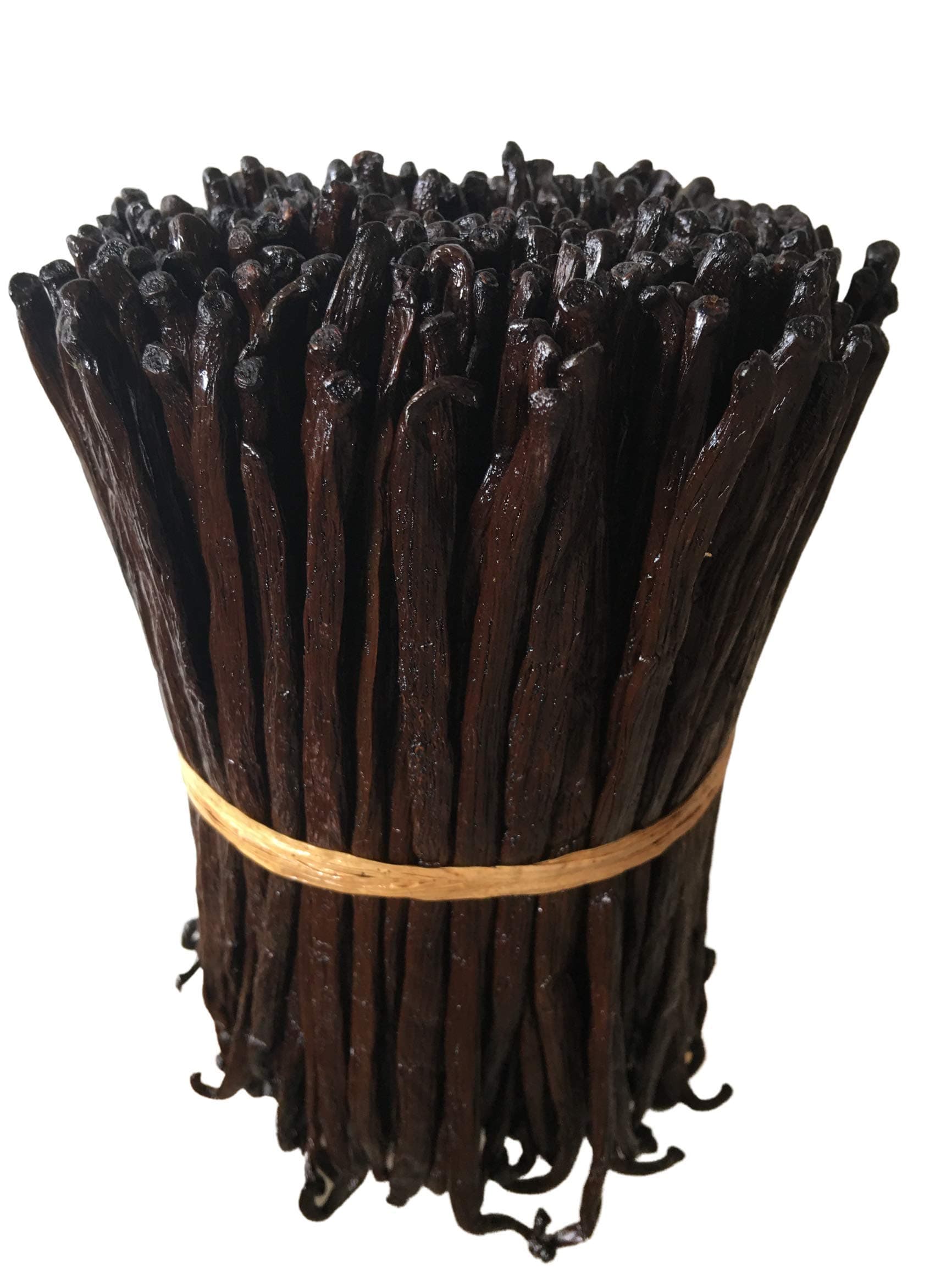 25 Organic Madagascar Vanilla Beans Grade A/B. Certified USDA Organic. Bulk for Extract and Everything Vanilla| 5"-7" Fresh Whole NON-GMO Bourbon Pods by FITNCLEAN VANILLA.