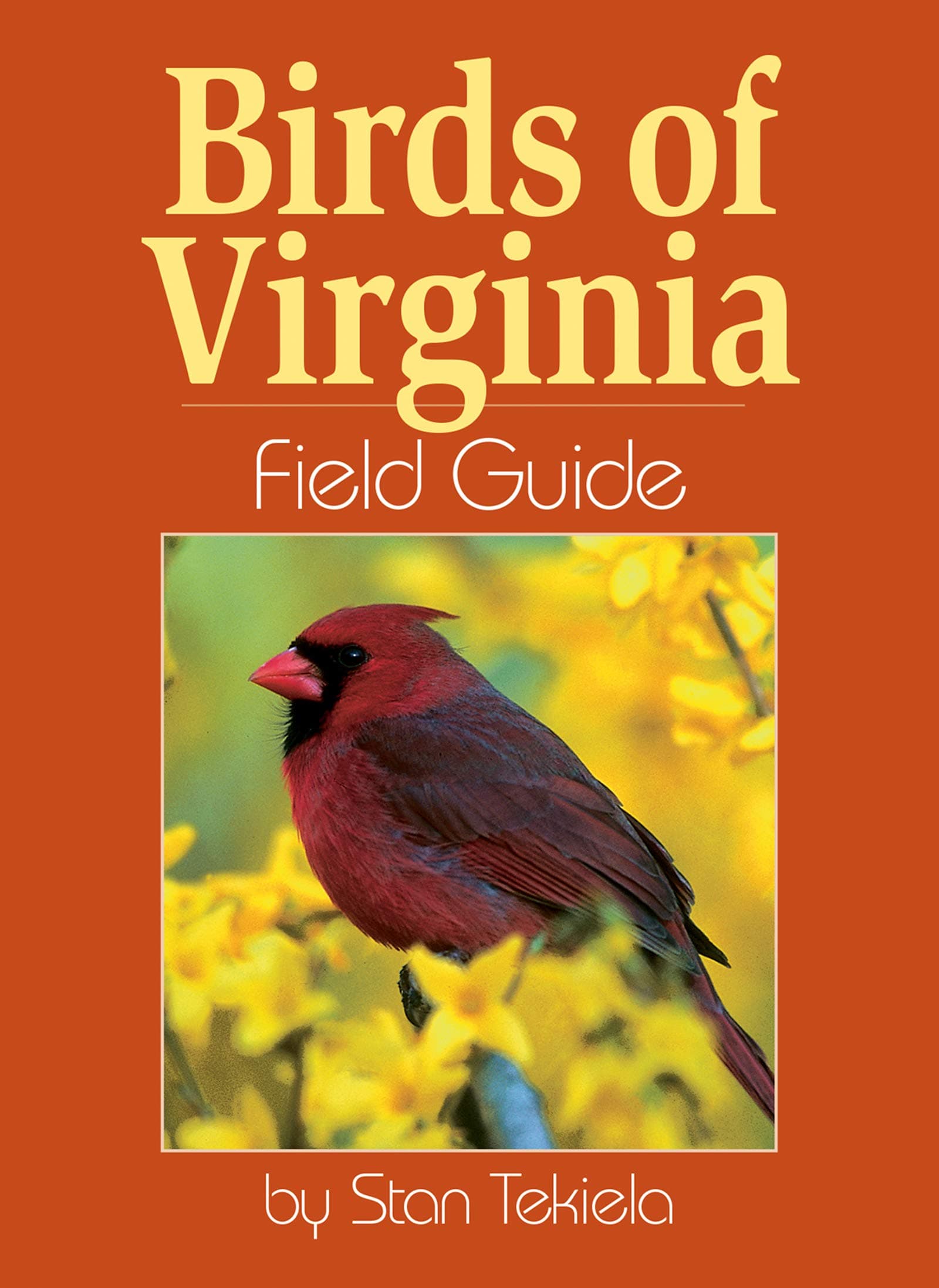 Birds of Virginia Field Guide (Bird Identification Guides)