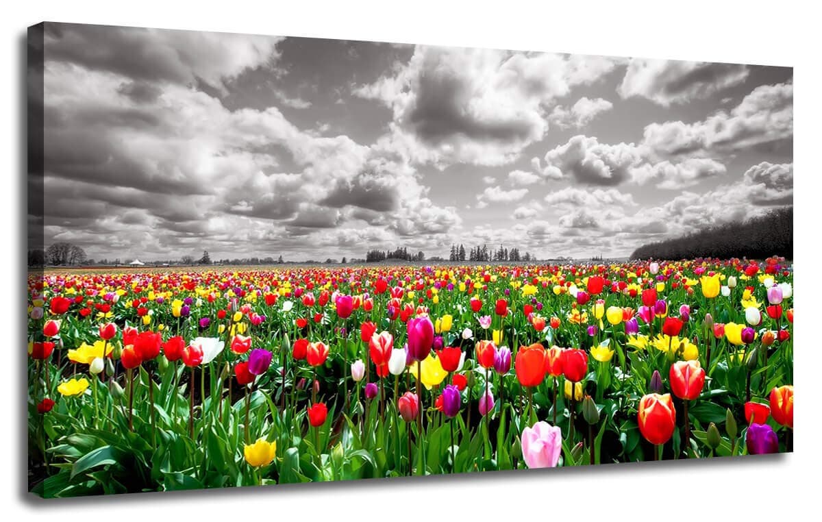 Canvas Wall Art Tulip Florals Field Picture Prints Landscape Grey Sky Nature Wild Flowers Artwork One Panel 40"x20" Framed Ready to Hang for Living Room Bedroom Bathroom Home Office Decor