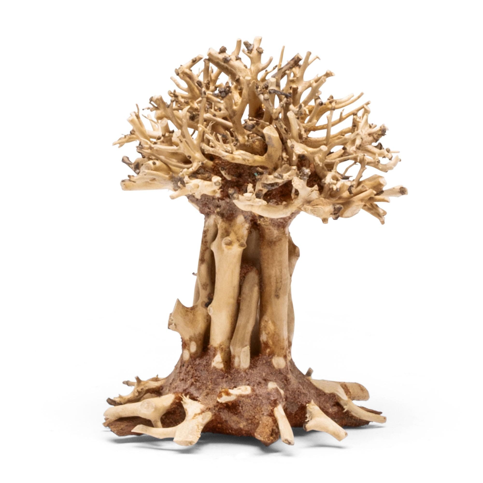Ultum Nature Systems Bonsai - Handcrafted Driftwood for Aquarium, Terrarium, Vivarium - 007, Large