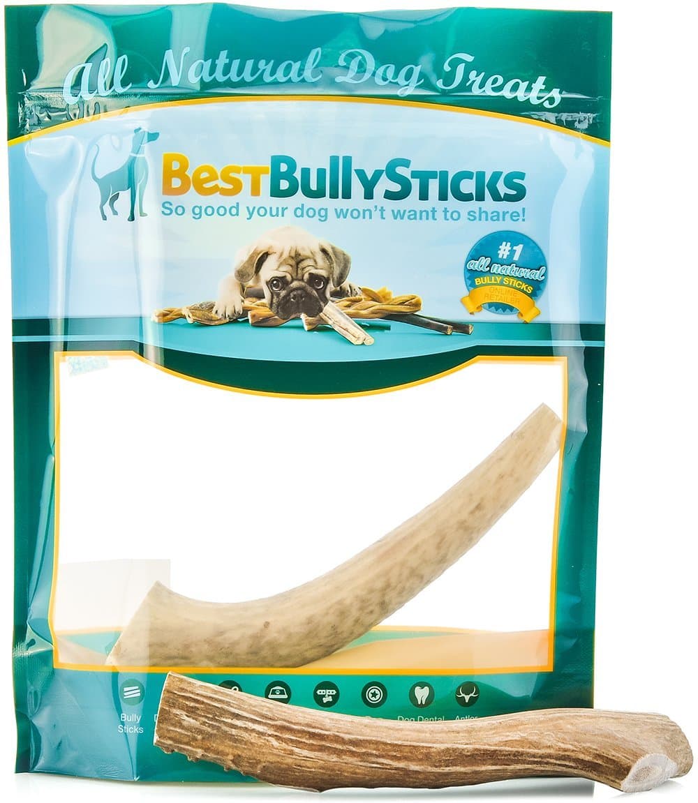 Best Bully Sticks Grade-A Medium Whole Elk Antler Dog Chew (1 Antler) Sourced in the USA
