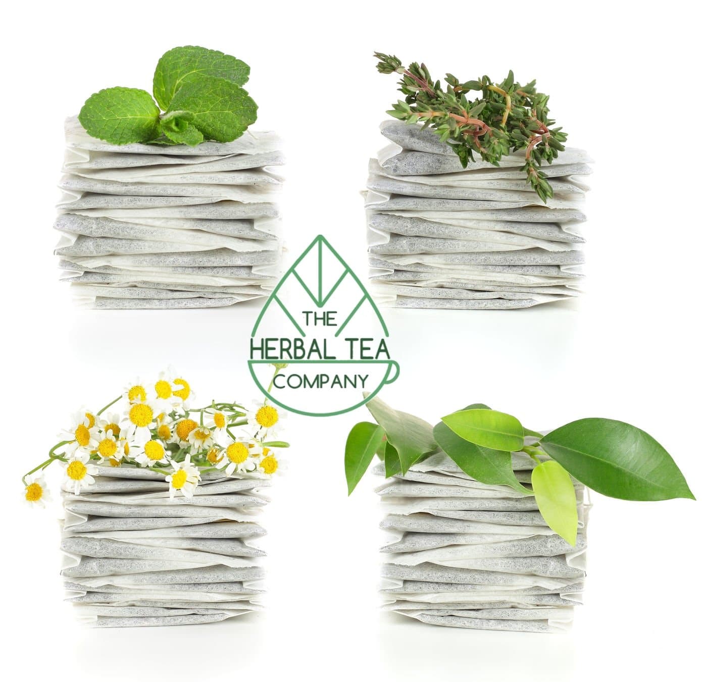 Organic Agrimony 100% Pure Herb Tea Bags with A Hint of Mint 50 Pack