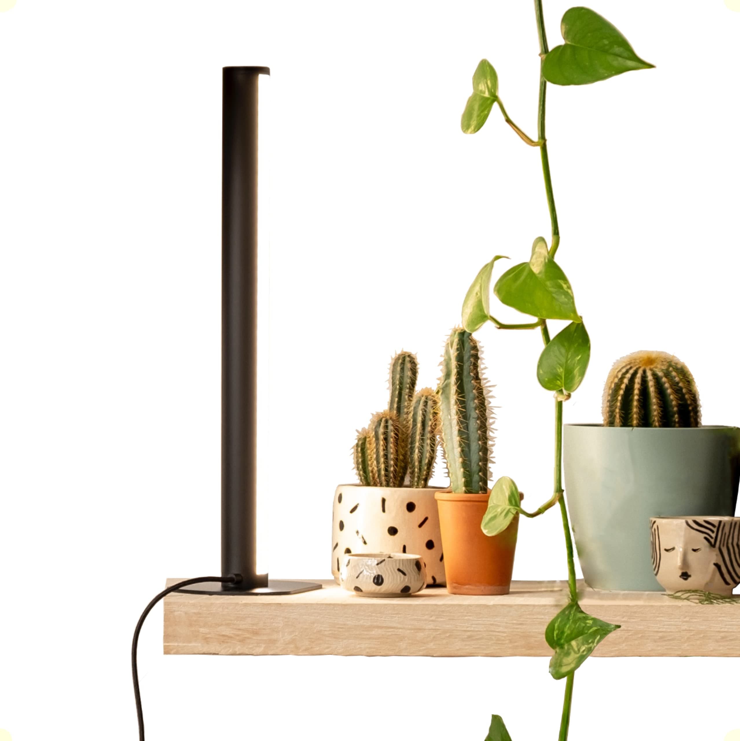 MOTHER PlantSpectrum16 Grow Light, Full Spectrum LED Plant Growing Lamp 16Watt for Indoor Plants.